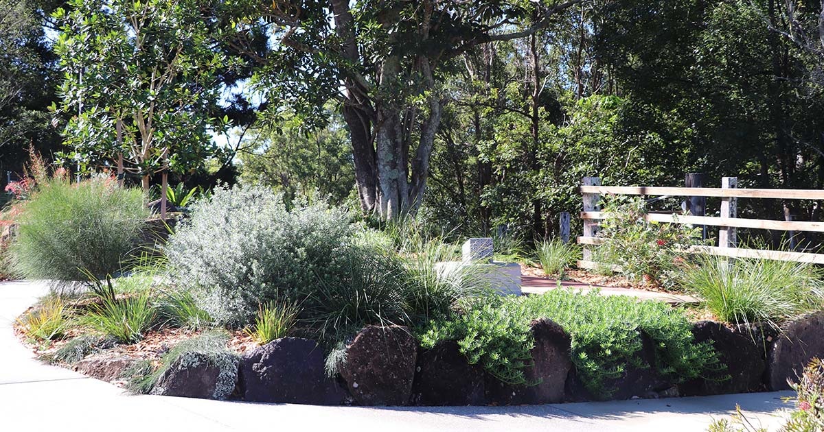 Margaret Olley Memorial Garden path