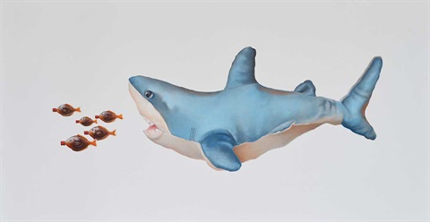 Single Use Soy Shark