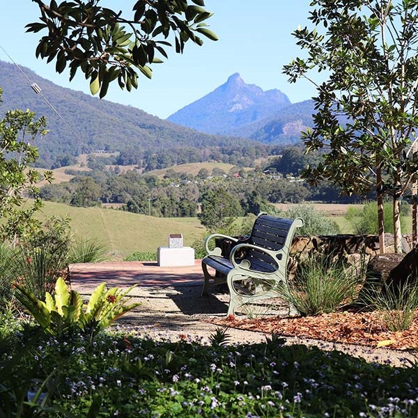 Margaret Olley Memorial Garden bench