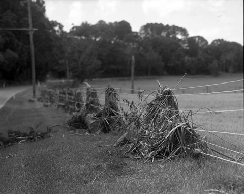 2284-rob-olver-flood-debris-i-2017-d120912.jpg